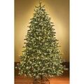 Queens Of Christmas 4 ft. LED Sequoia Christmas Trees, Warm White WL-TRSQ-04-LWW